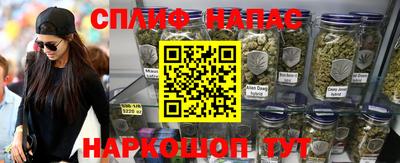гидра Моздок