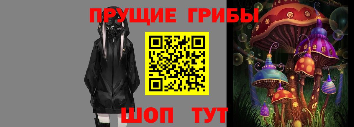 Славянск-на-Кубани  Галлюциногенные грибы GOLDEN TEACHER  Вход с VPN  Галлюциногенные грибы MAGIC MUSHROOMS 